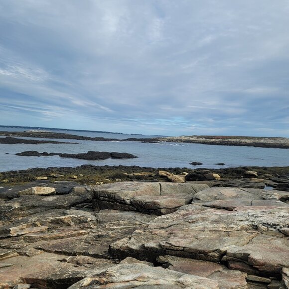 Meet your Posher, Maci - Picture 11 of 11